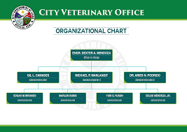City Veterinary Services Office Ligao City