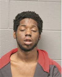 ᐅ Illinois Criminal Records 2009-2026