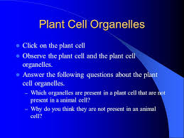 What plant cell organelle is present in. Study Of Cells Cytology Ppt Video Online Download
