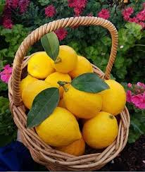 Pin By La Symphonie Des Idees On Frutti Fruit Picture Fresh Fruit Fruit