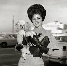 Große auswahl an elvis presley kost me. What The Life Of Elvis Presley S Wife Was Like And Why She Couldn T Be With