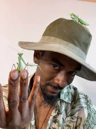 Jumping Spider Newbies