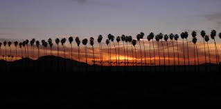 In Memoriam — Redlands High Class of 1977