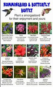 Flowers That Attract Butterflies And Hummingbirds Butterfly Garden Design Plants Hummingbird Garden