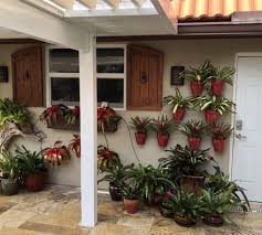 Garden On A Wall Container Garden Design Flower Pot Hanger Hanging Flower Pots
