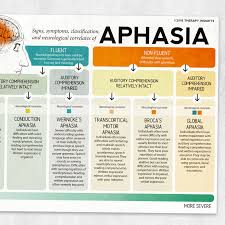 Image result for Aphasia