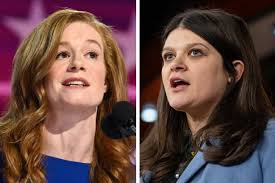 Hive mind: Why a Michigan Senate candidate keeps talking about beekeeping 