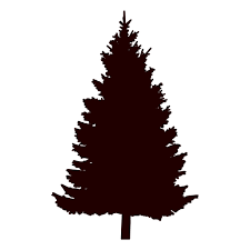 Tree Silhouette Vector Png Tree Silhouette Vector Png Transparent Free For Download On Webstockreview 2020