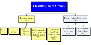 Image result for Hemorrhage Classification