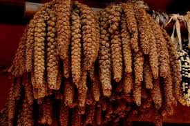 Image result for Melinis macrochaeta