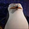 Lil' kowalski (penguins of madagascar). Https Encrypted Tbn0 Gstatic Com Images Q Tbn And9gcqrxtpwnmkg2cohsxcmbrlvkbl0x31zqa9qkmvyne23m0rndjww Usqp Cau
