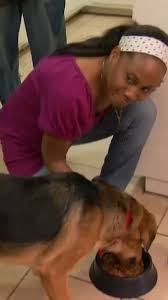 Dog Growls and Turns Aggressive at Meal Times😳 #itsmeorthedog #dogtraining 