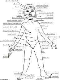 Includes four differentiated worksheets for upper elementary, middle or high school. Label Body Parts Anatomy Human Anatomy