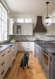 I saw sleepless in seattle recently with tom hanks and meg ryan. Dark Gray Oak Island With Pine Wood Floors Transitional Kitchen