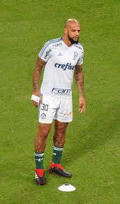 #felipe melo #melo #galatasaray #azim #hırs #zeal #gs #cimbom #ultraslan #pitbull #felipe #dos3 #galatasaray sk #arma. Felipe Melo Wikipedia