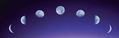 Full moon appears when the sun and the moon are on opposite sides of the earth. Moon Phase Gardening Planting By The Phases Of The Moon