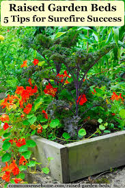 Plant the boric acid bait in the garden near your house or in an open infestation. Raised Garden Beds 5 Tips For Surefire Success
