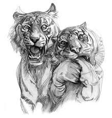 Pin By Hide N Seek On Drawing Sketches Tiger Art Animal Sketches