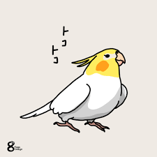 ベクターシェルフ
