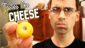 Nance: 8 healthy benefits of tropical fruit || Nance- Nutritional Value,  Usage, And Storage