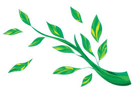 Graphic Of Vine And Branches Spring Graphics Free Cliparts Co Free Graphics Free Vector Art Free Vector Images