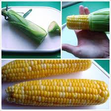 This microwavable cooker and steamer not only cooks corn on the cob but makes delicious hot dogs and sausages as well. Microwave Corn On The Cob In Husk No Messy Silk The Dinner Mom