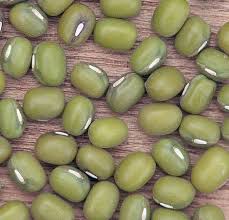 Image result for Vigna radicans