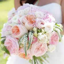 We did not find results for: What Do Your Wedding Flowers Mean The Paisley Box