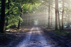 The most beautiful pictures of animals, places, people and nature. 700 000 Best Nature Pictures Images In Hd