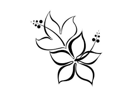 Trendy Flowers Black And White Drawing Simple 19 Ideas In 2020 Simple Flower Drawing Simple Flower Design Free Tattoo Designs