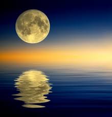 Image result for reflection