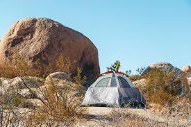 Maybe you would like to learn more about one of these? Where To Stay In Joshua Tree National Park Camping Glamping And Nearby Lodging Roads And Destinations