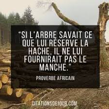 Proverbe Africain Sur La Nature De Diouf Boucar Proverbe Africain Proverbe Proverbes Droles