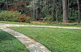 Not Your Ordinary Lawn Growing A Greener World