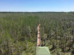 Together, they protect nearly 18,000 acres of relatively. Grand Bay Georgia Wikipedia