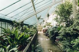 Dyffryn Gardens Greenhouses Cardiff South Wales Haarkon Adventures Greenhouse South Wales Tropical Garden