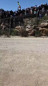 @BasharHalabi14's video Tweet