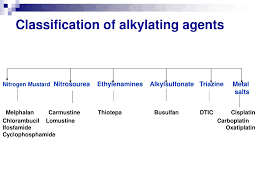 Image result for Alkylating Agent