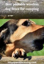 Pets are welcome to use dog park. Best Portable Wireless Dog Fence For Camping