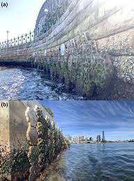 Image result for Dark Blue 1980 Queensland Independent Concrete