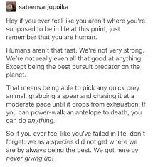 It S Okay We Re All Human And That Ain T Too Bad R Wholesomememes Wholesome Memes Know Your Meme