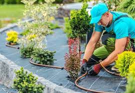 How To Become A Landscaper