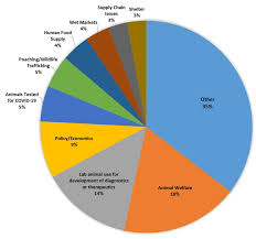 Companion animals to ensure that they will not contribute to the influx of animals in shelters (check. Overcoming The Impact Of Covid 19 On Animal Welfare Covid 19 Thematic Platform On Animal Welfare Oie Bulletin