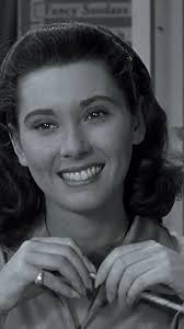 The Darlings return to arrange a mountain divorce for daughter Charlene.  Andy gets involved and gets tagged to be the next husband. He decides to  fight fire with fire when Barney discovers