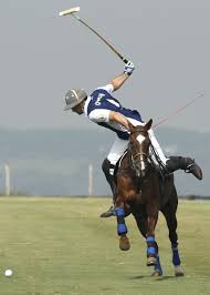 Wide Open Polo Horse Polo Pony Sport Of Kings