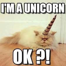 Pin On Unicorn Memes