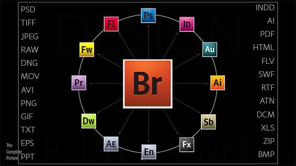 It's True: Adobe Bridge 2026 Is Completely Free for Everyone, for Life! |  ProDesignTools
