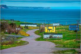 Coffeecompany hq zeeburgerpad 13 1018 ah amsterdam postbus 16953, 1001 rl amsterdam. Photographing Newfoundland The Canadian Nature Photographer