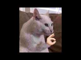 Mama Mia That S A Spicy Meatball Ear Rape Youtube