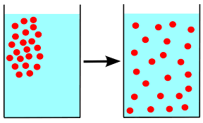 Osmosis (/ɒzˈmoʊ.sɪs/) is the spontaneous net movement of solvent molecules through a selectively permeable membrane into a region of higher solute concentration, in the direction that tends to equalize the solute concentrations on the two sides. Osmosis Vs Diffusion 101 Definitions Examples And Practice Problems Biology Junction